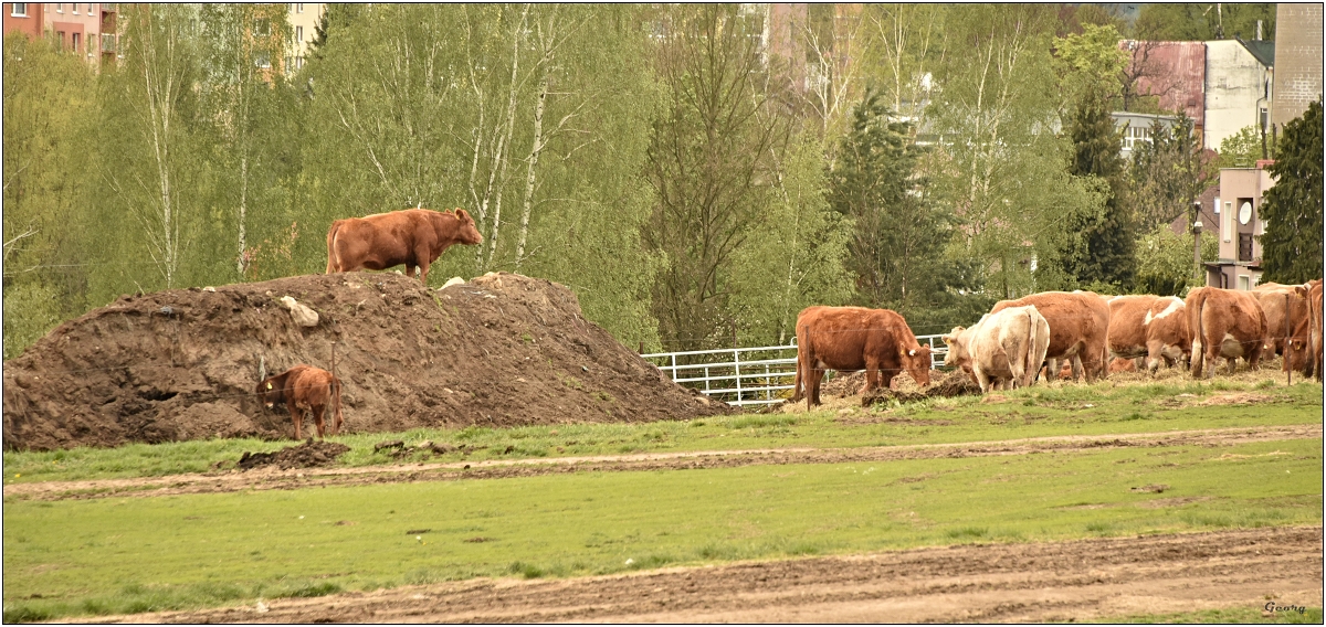 Domovní schůze    5.5.20191919w