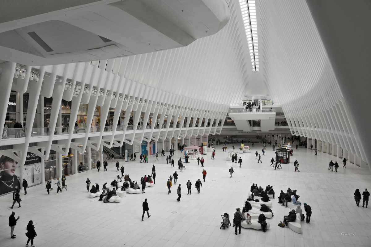 _DSC6955w