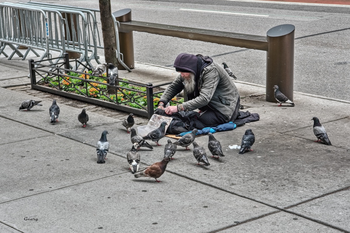 _DSC7314w