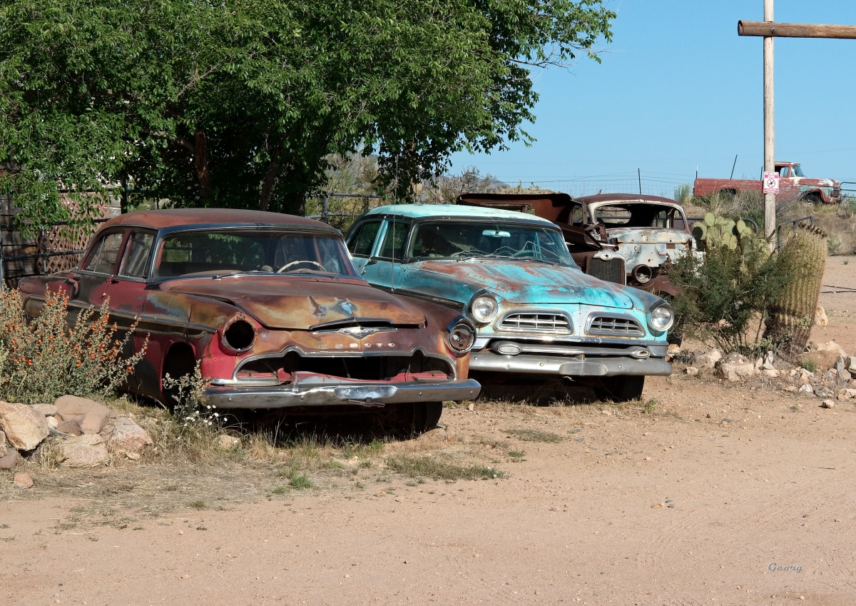 _DSC9984w