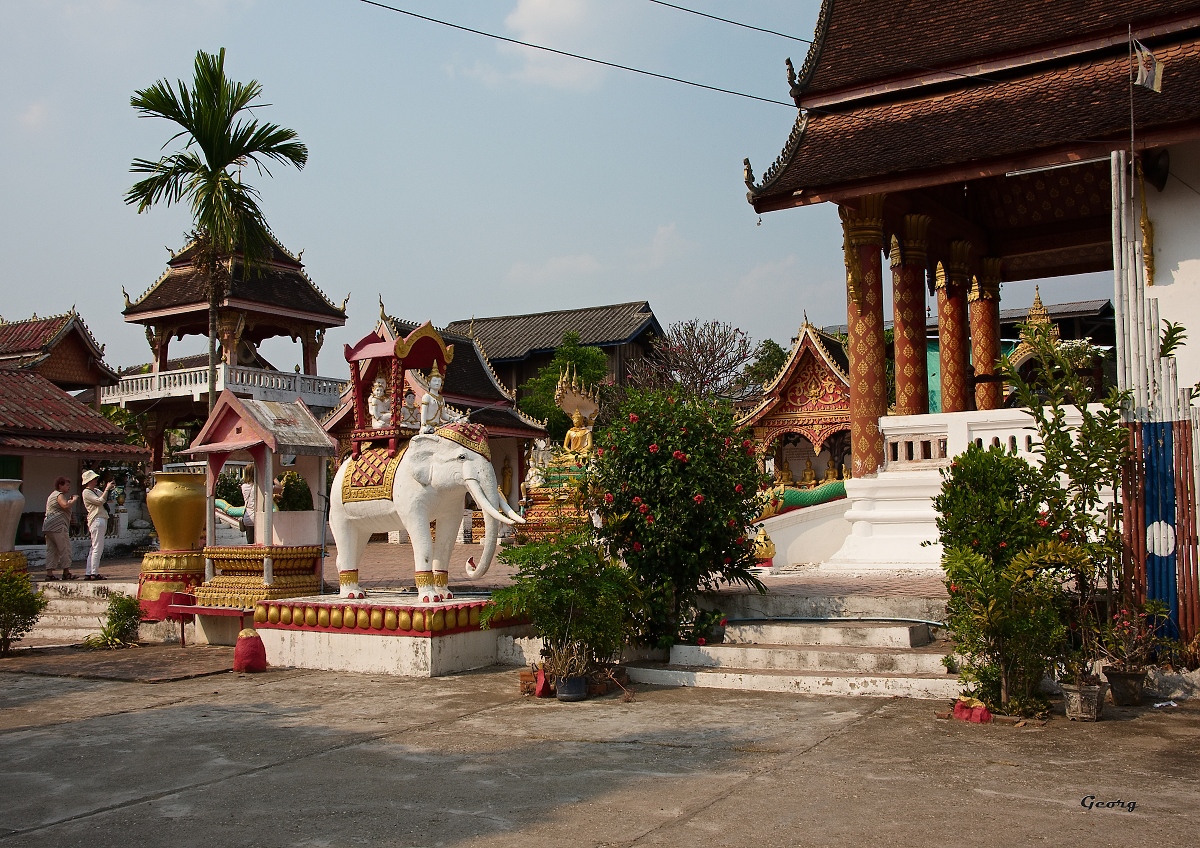 _DSC8415w