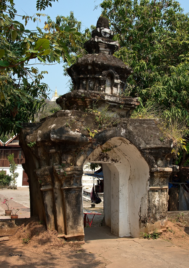 _DSC8241w