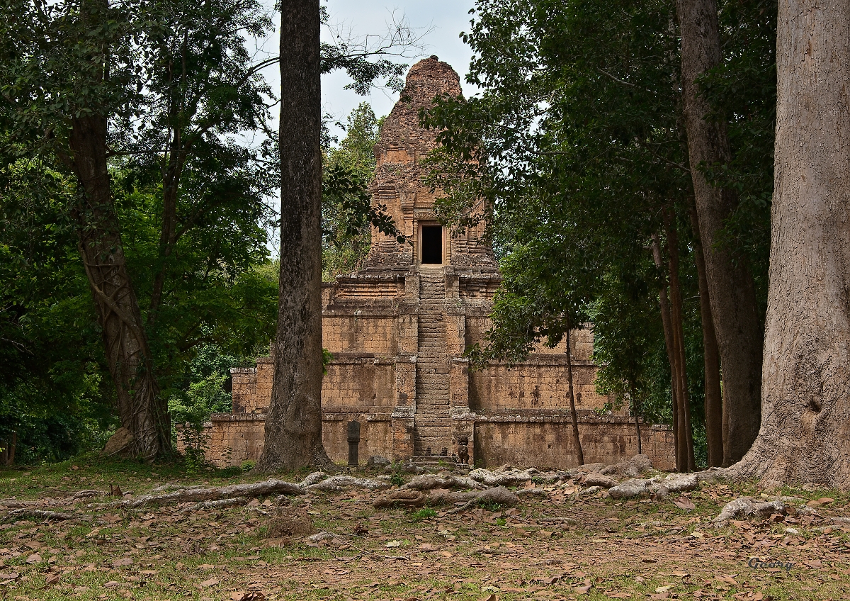 _DSC9023w