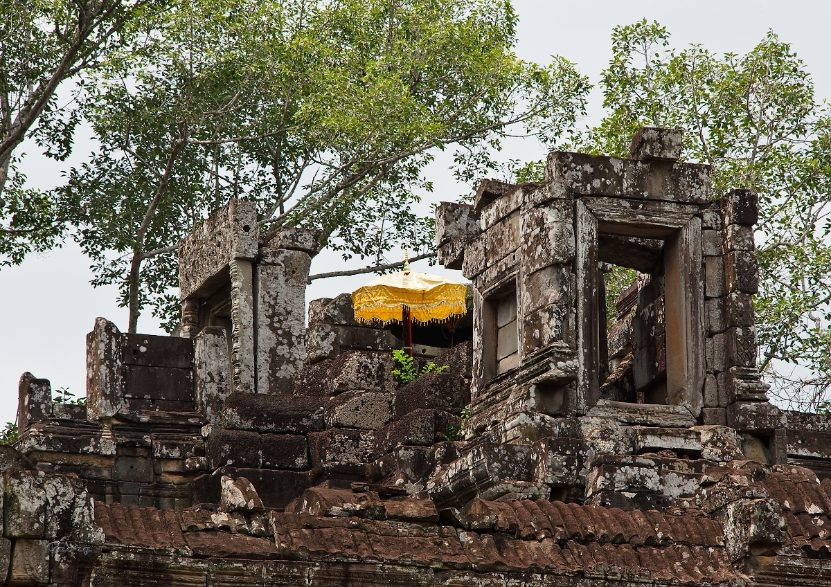 _DSC9182w