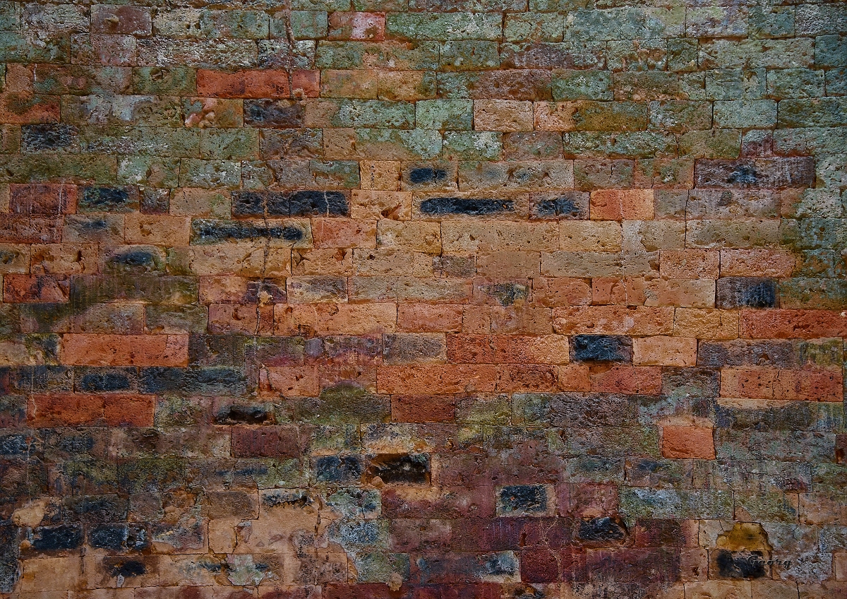 _DSC9562w