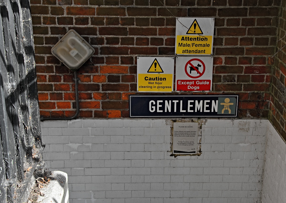 _DSC3117