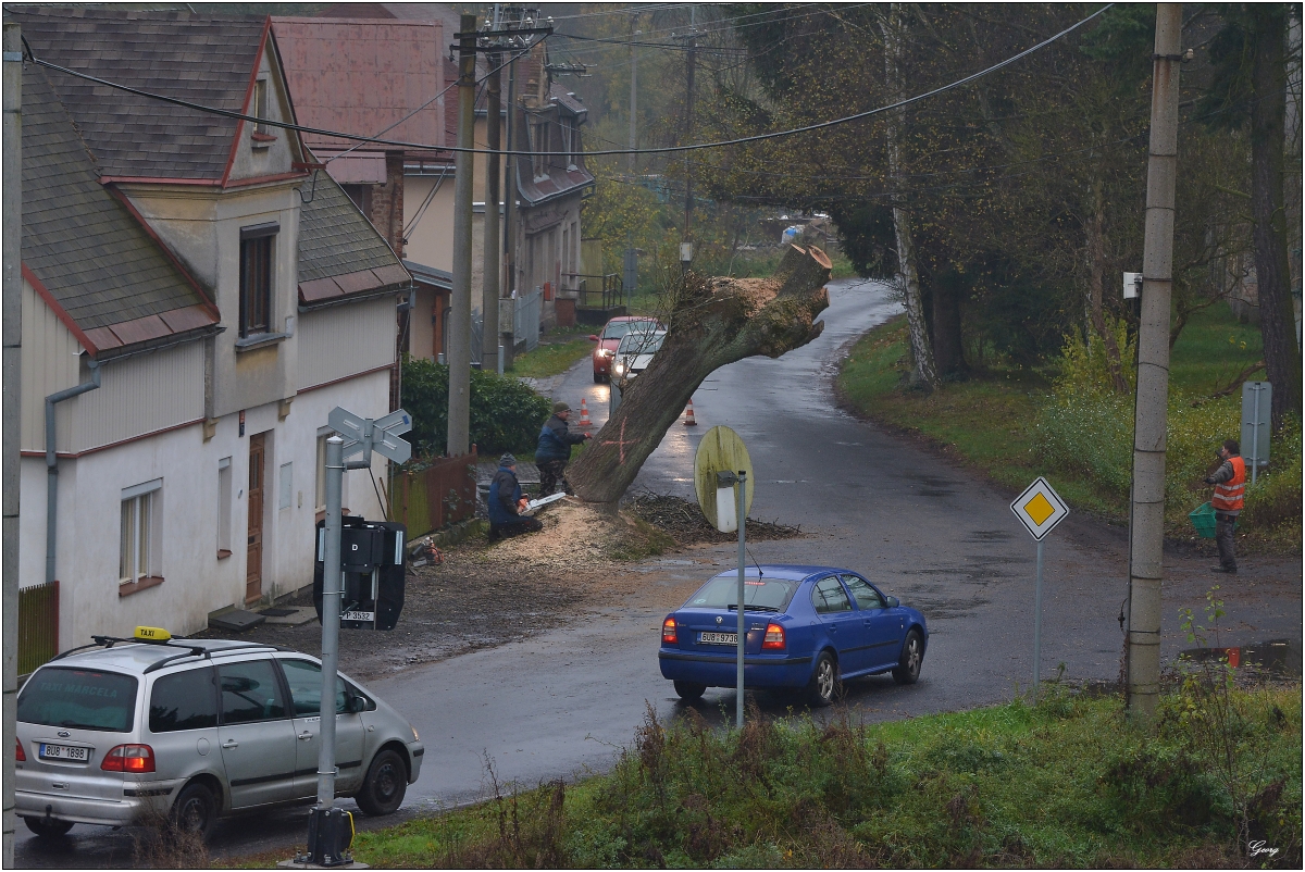 Dolní Křečany 1.11.2017_3714w