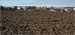 24.2.2019   _1091w