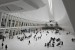 _DSC6955w