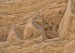 _DSC5576w