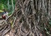 _DSC8742w