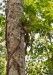 _DSC8789w