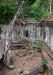 _DSC8998w
