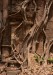 _DSC9583w